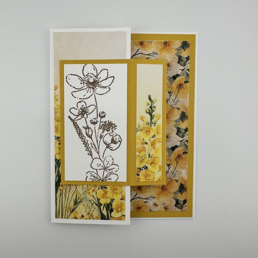 butterfly blossoms booklet fun fold card front