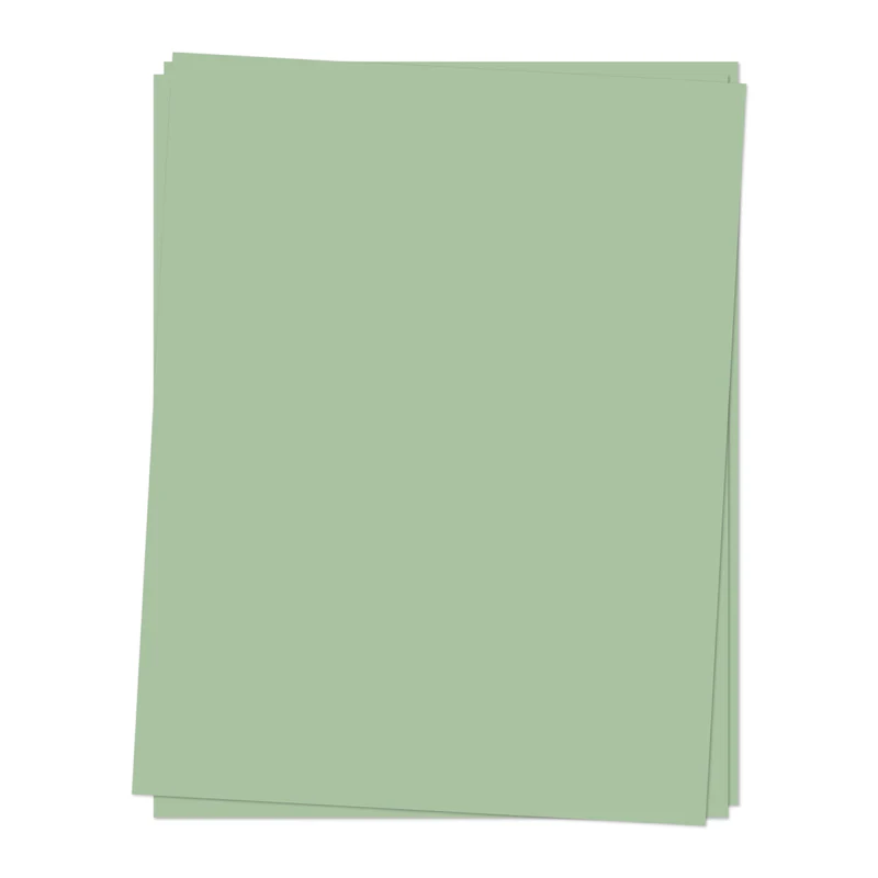 photo of Concord & 9th: Eucalyptus Cardstock