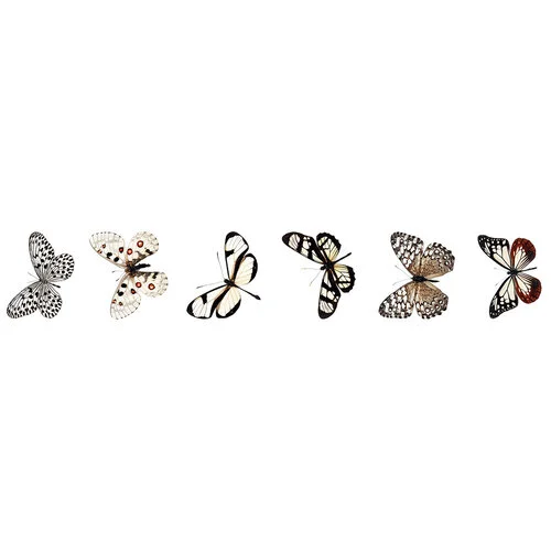 photo of Studio Light Grunge Collection Butterfly Stickers